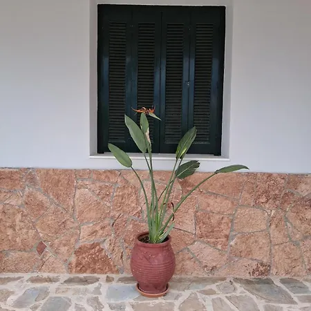 Amyclae Heritage House-traditional Stone With Modern Comforts Сasa de vacaciones *